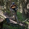 Livigno Bikepark