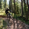 Livigno Bikepark