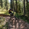 Livigno Bikepark
